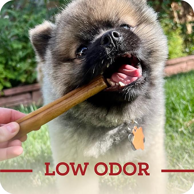 Redbarn Pet Products All-Natural Large 12" Beef Collagen Sticks for Dogs - Long Lasting Low-Odor Alternative to Traditional Rawhide & Bully Sticks - Supports Healthy Joints, Skin, & Coat - 3 Pack
