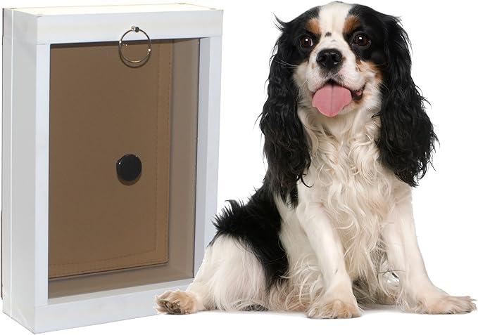 Ranger by Freedom Pet Pass Insulated Dog Door for Walls - S