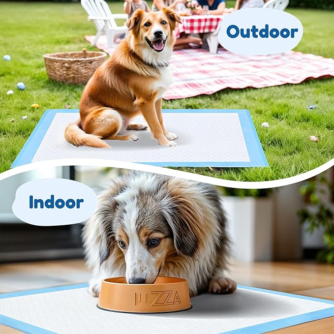Super Absorbent Waterproof Dog and Puppy Pet Training Pad, Housebreaking Pet Pad, 50-Count Small-Size, 17.1’’X23.6’’, Blue
