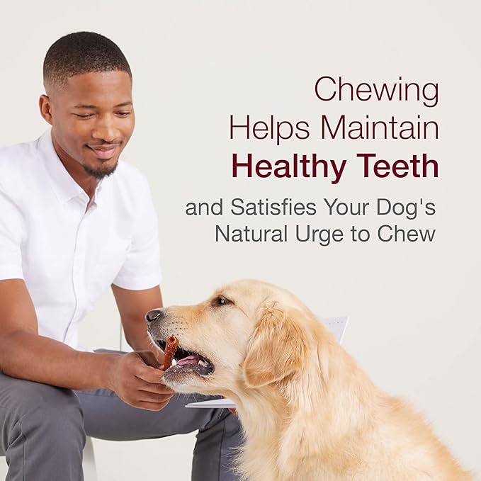 SmartBones Large Chews, Treat Your Dog to a Rawhide-Free Chew Made With Real Meat and Vegetables 3 Count (Pack of 1)
