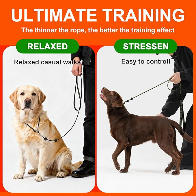 BeauGo|Dog Leash Slip Lead|Dog Training Leash,Trainer Rope Designed for DogTraining and NGKC Competition,No Pull Dog Lead & Collar,Trainer Rope for Small Medium Large Dogs.Slip Leads for Dogs 6 FT