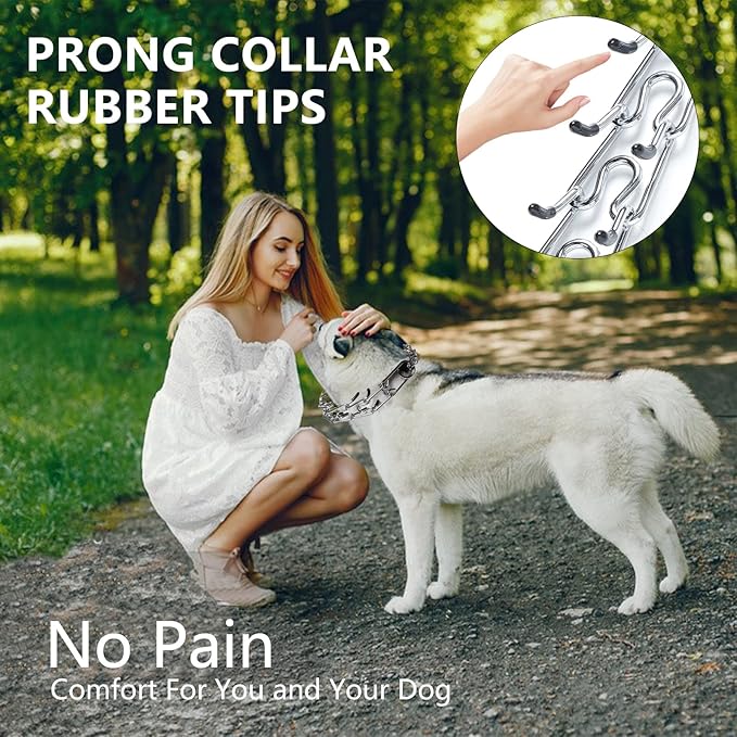 Prong Collar for Dogs,Dog Training Collar with One Professional Training Leash,Adjustable Pinch Collar with Quick Release Metal Buckle, No Pull Choke Collar for Small Medium Large Dogs（Silver, M/L）