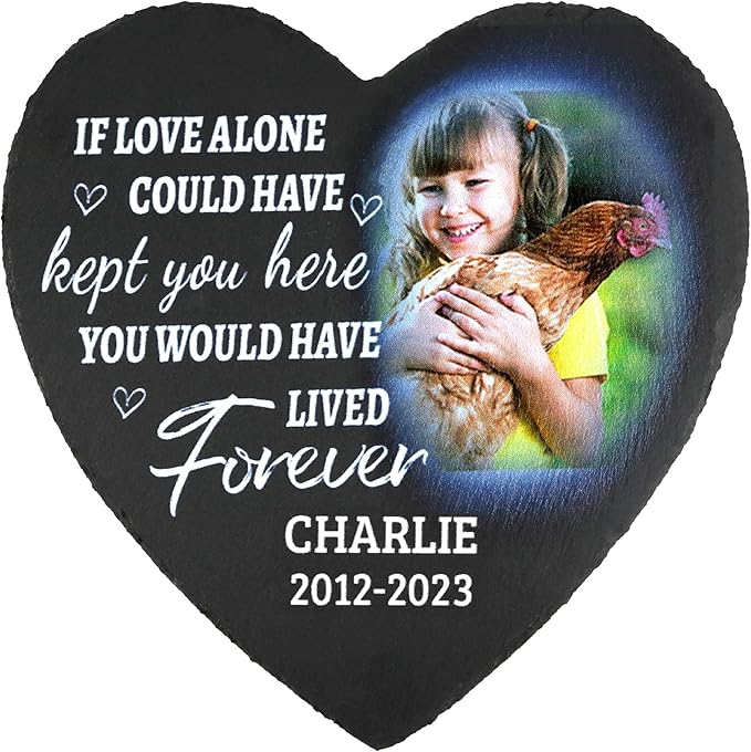 ODB Gifts for Loss of Chicken, Chicken Memorial Stone, Chicken Memorial Gifts, Chicken Loss Gifts, Chicken Head Stones, Cock Grave Marker, Gifts for Cock Lovers (Chicken)