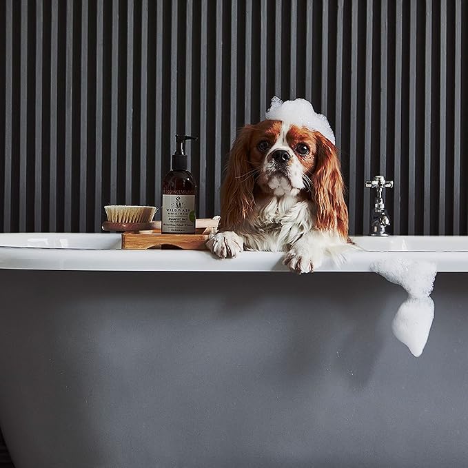 WildWash Smell Sweet Conditioning Spray for Dogs 150ml - Rose and Ylang Ylang to Freshen and Condition to Combat Odour - Natural, Sulphate and Paraben-Free for Sensitive Skin
