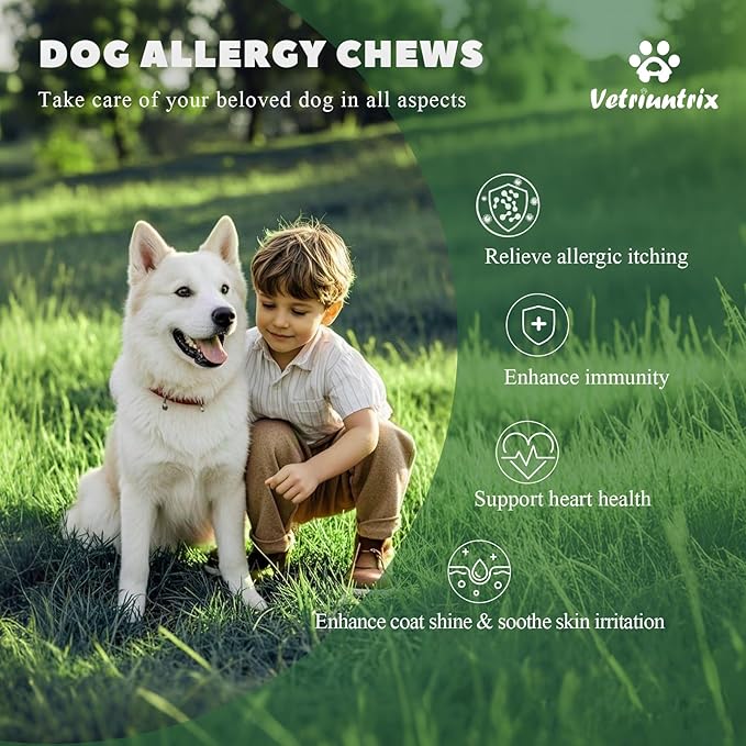Dog Allergy Chews, Dog Allergy Relief Chews Coat Supplement for Itchy Skin Paw Licking, Probiotics for Large Dogs with Colostrum Omega-3 Turmeric Immune Supplement-200ct