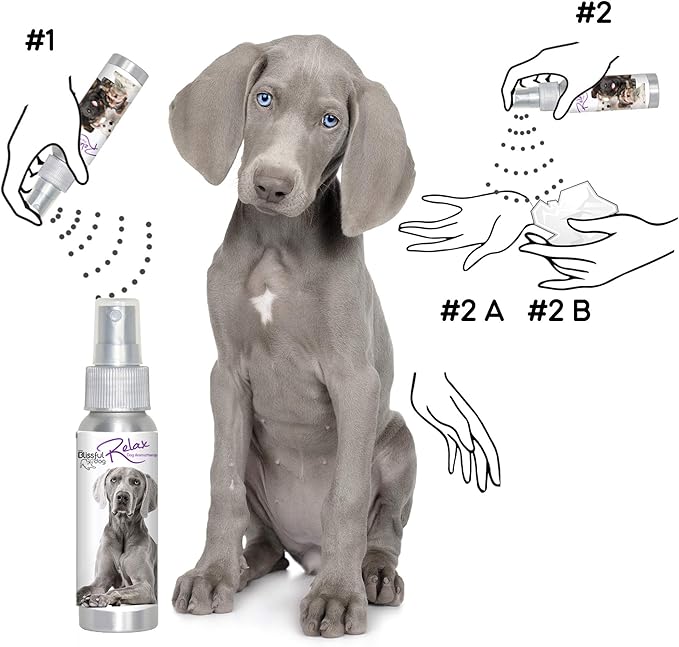 The Blissful Dog Weimaraner Relax Dog Aromatherapy Spray for Your Dog's Anxiety