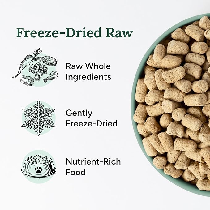 360 Pet Nutrition Freeze-Dried Raw Dog Food – Multi-Protein with Beef, Chicken, Fish, Liver & Organs, High Protein, Omega-3s, Fruits, Veggies & Superfoods, Grain-Free, No Fillers, 1 lb – Made in USA