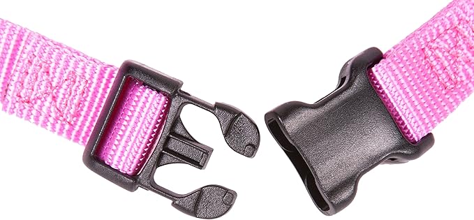 GOGO Pet Products 3/8-Inch Martingale Dog Collar, X-Small, Pink