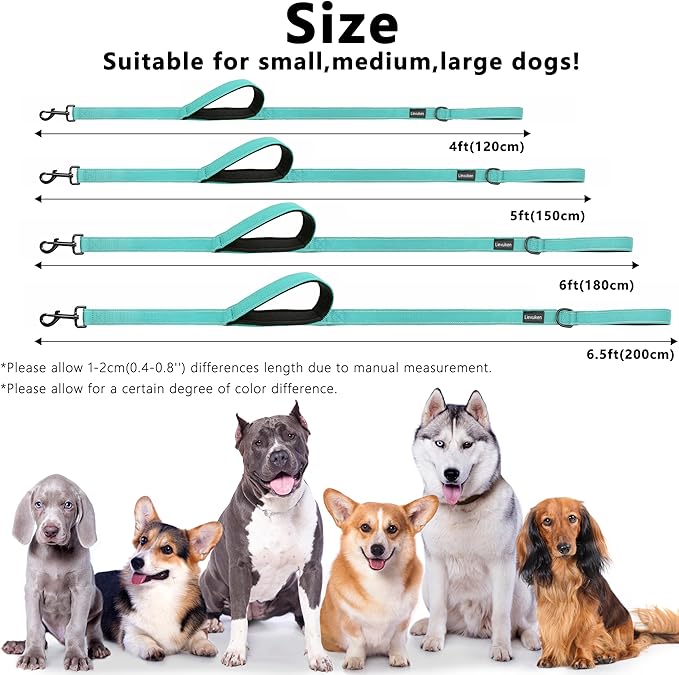 Dog Leash, 4ft Long, Double Handle, Reflective, Turquoise, for Small, Medium, Large Dogs
