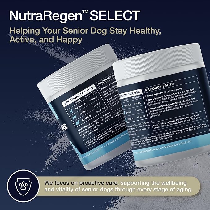 Nutraregen Digestive Senior Dog Probiotic Powder 30 Scoops | Beef Flavored Dog Probiotics for Digestive Health, Supports Gut Health, Scratching, Itchy & Dry Skin, Allergies 2.1 Oz | 7 Bn CFU