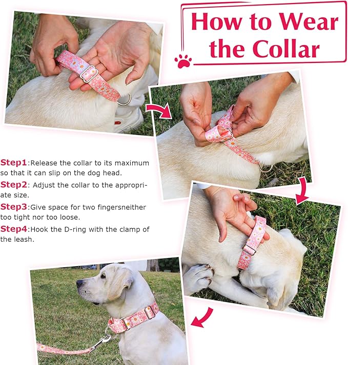 Martingale Collar for Dogs,Pink Flowers Martingale Collar,No-Slip Escape Proof Choke No Pull Cinch Soft Dog Collar for Small Medium Large Girl Female Dogs Collar S