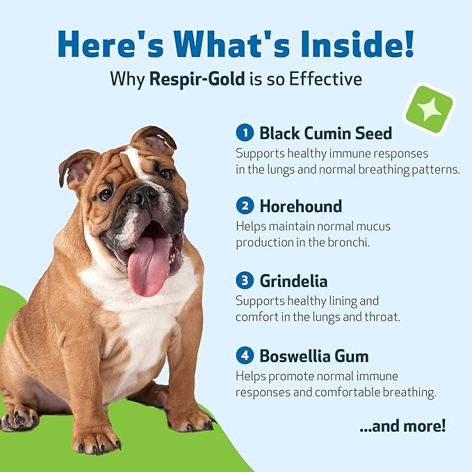 Pet Wellbeing Respir-Gold for Dogs - Lower Respiratory Support, Holistic Lung Health & Deep Breathing with Black Cumin & Horehound - NASC Certified & Vet Formulated - 4 fl oz (118 ml)