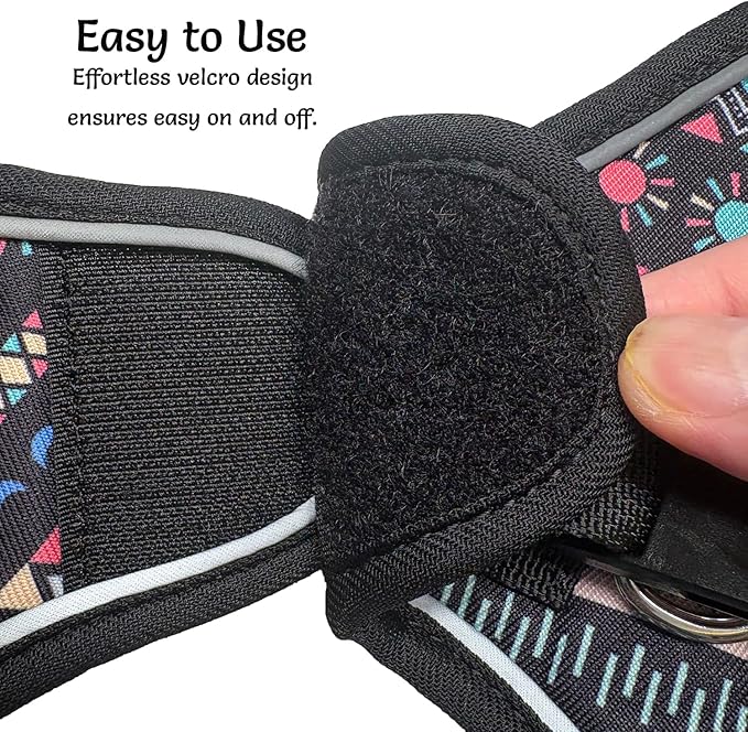 Step in Dog Harness and Leash Set, Reflective Adjustable No Pull Dog Harness for Extra-Small/Small Dogs Puppy and Cats, Soft Padded Mesh Vest Harnesses for Girl and Boy Pets(Black Bohemia,XS)