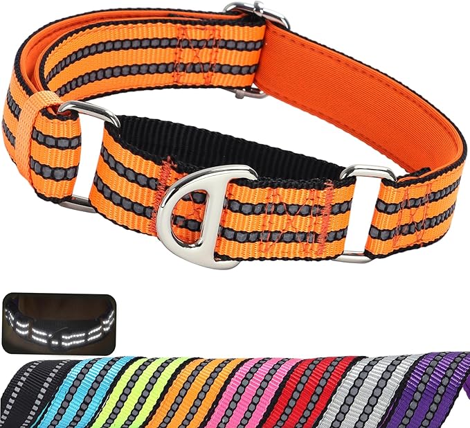 Martingale Collar for Dogs, Reflective Nylon No Pull Choke Collar with Padded Comfort, Metal D-Ring & No Buckle for Training, Walking & Overexcited Pulling Control-Orange M