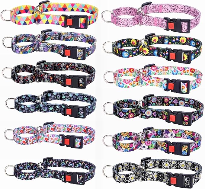 Martingale Collar for Small Dogs, No Slip Escape Proof Limited Choke Pinch Pet Collars Quick Release Buckle with Lock for Small Medium Large Breed Dogs, White Daisy S
