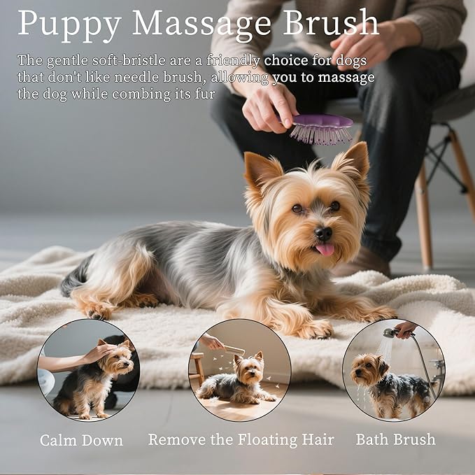 Gentle Cloud Air Cushion Brush Small Dogs Grooming with Gift Box, Fit for Yorkie, Shih Tzu, Pomeranian, Maltipoo, Maltese, Toy poodle, Puppy Essentials (Purple)