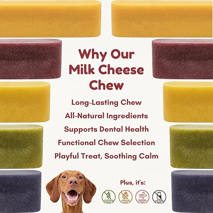Majestic Pet Himalayan All-Natural Cheese Dog Chews - Long Lasting Dental Chew for Dogs - Healthy Pet Treats with Beneficial Ingredients (Digestive & Immune Support, Large, 5 Pack)