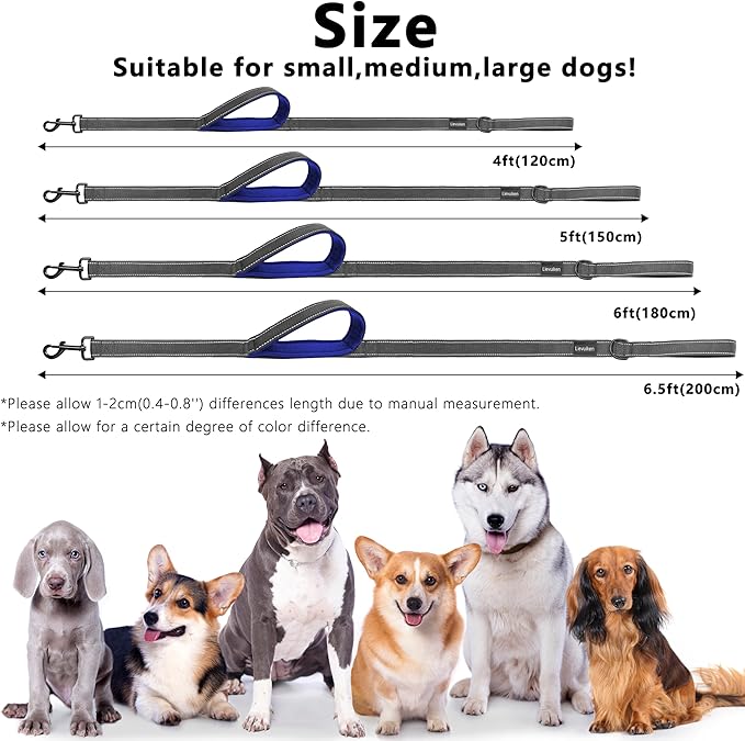 Dog Leash 4ft Long, Double Handle Dog Leash for Safety Control Training, Heavy Duty Dog Leads with Traffic Padded Handles, Reflective Leashes for Small Medium Large Dogs(4ft, Black Blue)