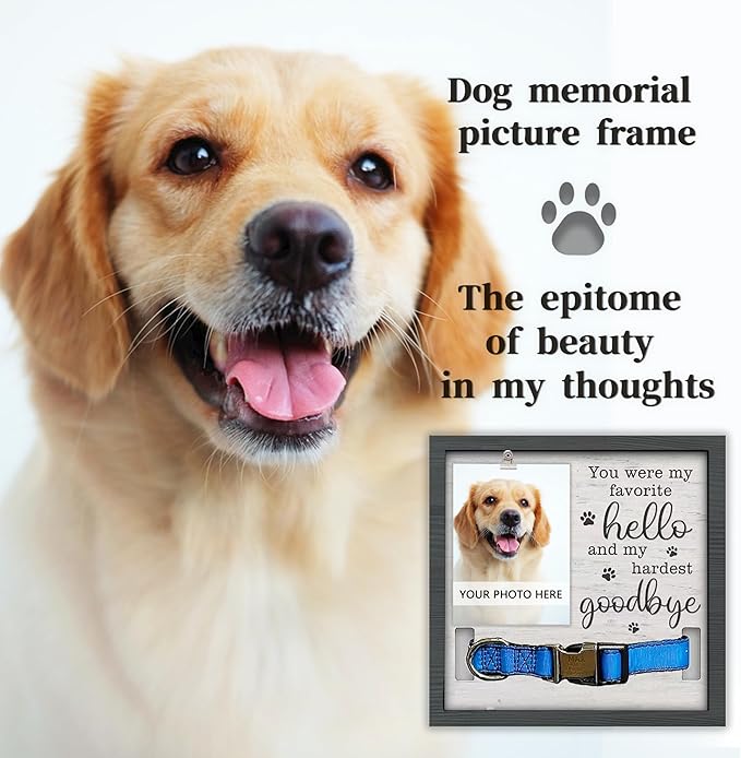 Dog Memorial Gifts for Loss of Dog, Pet Memorial Frame with Collar Holder,Pet Memorial Sympathy Gift Passing Away, 9x9''Dogs Memorial Picture Frame