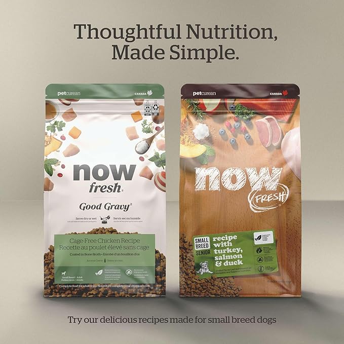 Now Fresh Grain-Free Small Breed Dry Dog Food with Turkey, Salmon & Duck, Healthy Kibble Made with Real Poultry & Fish, Chicken-Free Recipe, with Pumpkin & Probiotics for Good Digestion, 6 lb Bag