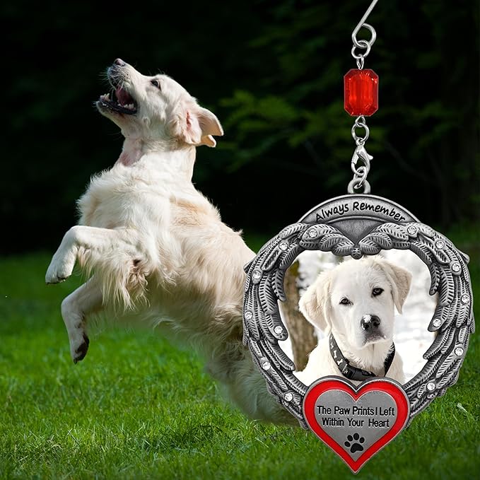 Pet Memorial Photo Ornament - Custom Picture Ornaments - Always Remember The Paw Prints I Left Within Your Heart - Angel Wings Christmas Decoration - Gift Storage Bag Included - Measures 4" H x 3" W