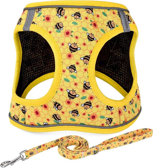 Step in Dog Harness and Leash Set, Reflective Adjustable No Pull Dog Harness for Extra-Small/Small Dogs Puppy and Cats, Soft Padded Mesh Vest Harnesses for Girl and Boy Pets(Bee,XXS)