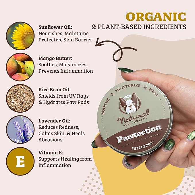 Natural Dog Company PawTection Balm for Dogs – Winter Paw Protection from Snow, Ice & Salt, Wax-Based Paw Barrier Balm, All Breeds for Cold Weather Walks & Outdoor Adventures, Lick-Safe, 2 oz Tin