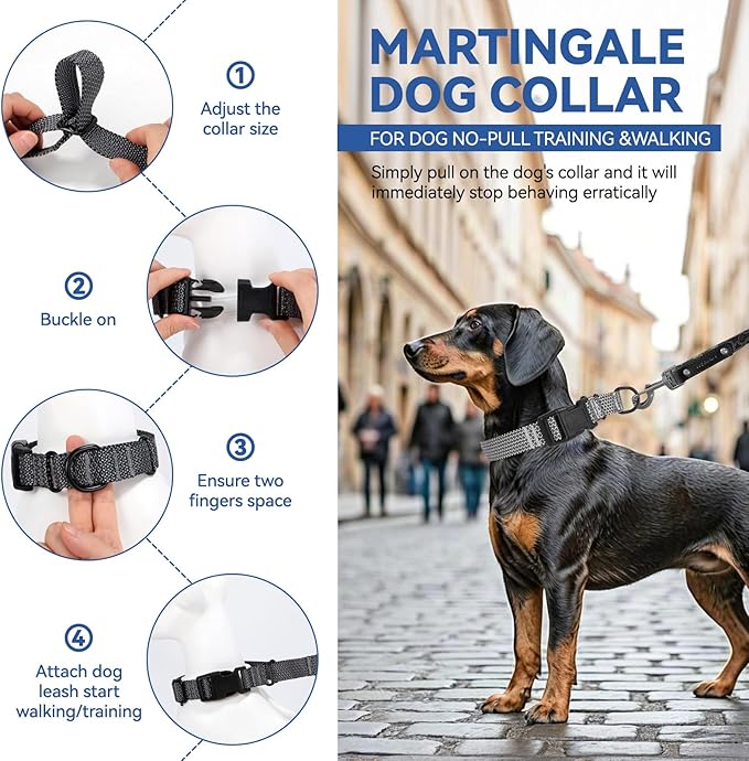 Martingale Dog Collars Adjustable Training Martingale Collar for Dogs - Reflective No Pull Dog Collar with Quick Release Buckle (Army Green, Extra Large)