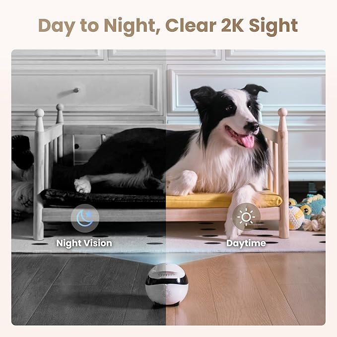 Enabot EBO Air 2 FamilyBot Indoor Security Camera Robot: 2K Pet Camera, Movable Home Robot, Custom Facial Expression, Auto-Recharge, Battery-Operated, 2-Way Talk, Night Vision(Dove White)