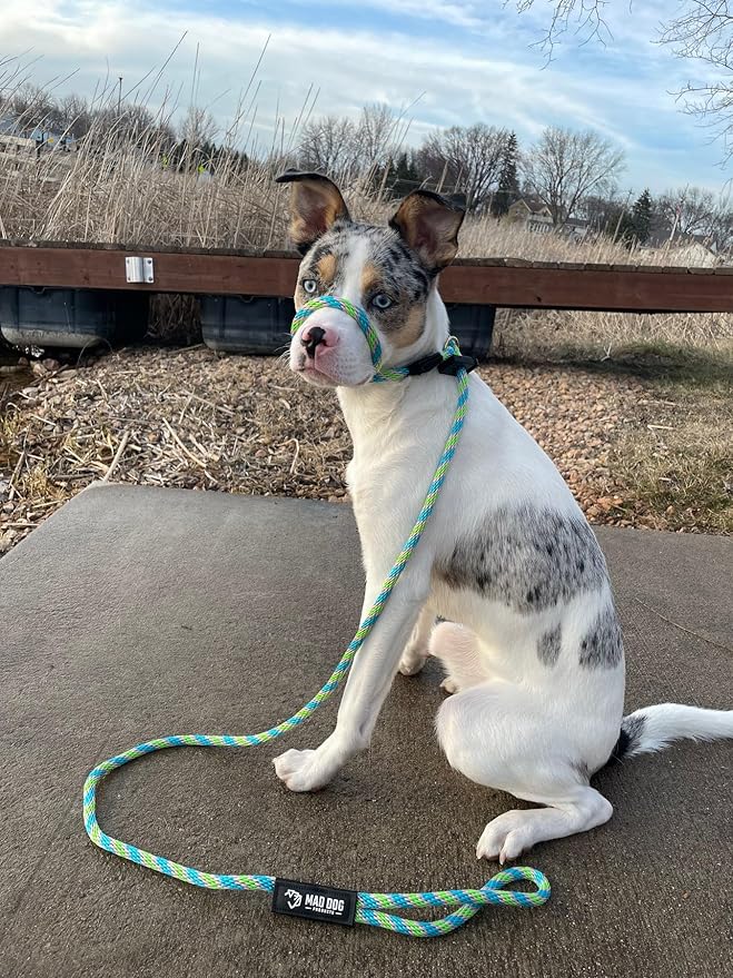 Mad Dog Products Easy Leader Dog Leash 1/4" x 8' Black/Lime Signature Rope - Made in USA