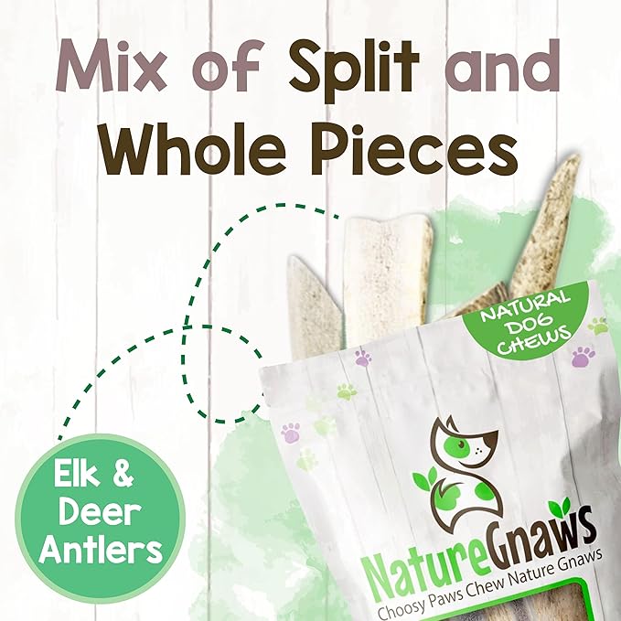 Nature Gnaws Antlers for Dogs (8oz) - Mix of Elk and Deer Antler - Variety of Split and Whole Pieces - Long Lasting for Aggressive Chewers and Large Dogs