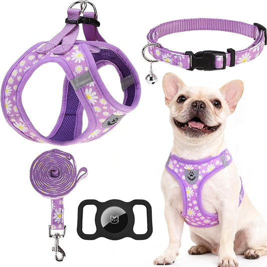 EXPAWLORER Small Dog Harness and Leash Set - Cute Spring Puppy Harness Leash Dog Collar with AirTag Holder Silicone Case, Soft Padded Step in Pet Vest Reflective for Outdoor Walking, Purple Daisy S