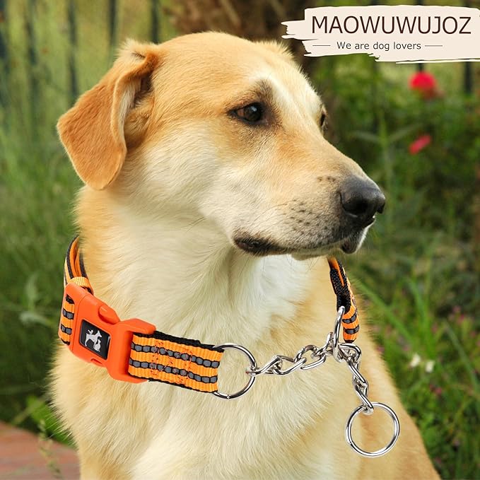 Orange Martingale Dog Collar for Medium Large XL Breeds,Dog Collar Soft Nylon No Pull Dog Collars for Medium Dogs, Large