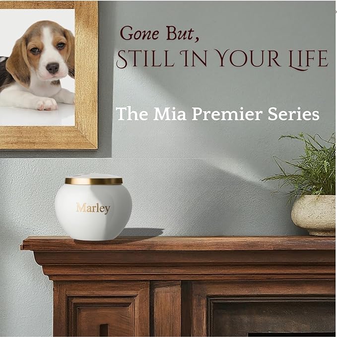 Mia Paws Premier Series Pet Urn for Dogs with Personalized Laser Engraving (Medium - Pets up to 35 lbs, Cloud White, Double Brass Paws)