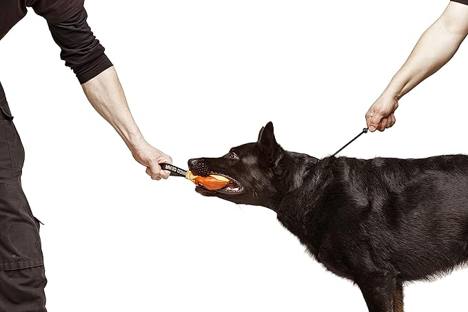 Dingo Gear Choke Collar for Dog Training Handmade of Cord with A Limiter, Waterproof Black S04059, (L)