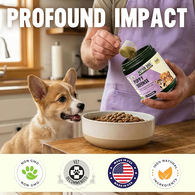 Better Dog Supplements Puppy Defense by Cesar Millan – Natural Immune Support Powder for Young Dogs – Immunity, Gut Balance, Digestive Health & Early Wellness – 4oz, (60-Day Supply)