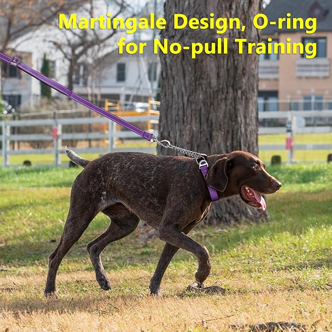 Plutus Pet Martingale Dog Collar with Stainless Steel Chain and Reflective Nylon, Adjustable No Pull Training Collar, for Small Medium, and Large Dogs, Purple, M