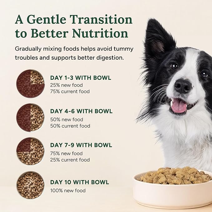 360 Pet Nutrition Freeze-Dried Raw Dog Food – Chicken Recipe with Liver & Organs, High Protein, Omega-3s, Fruits, Veggies & Superfoods, Grain-Free, No Filler 2 x 48 oz Made in USA