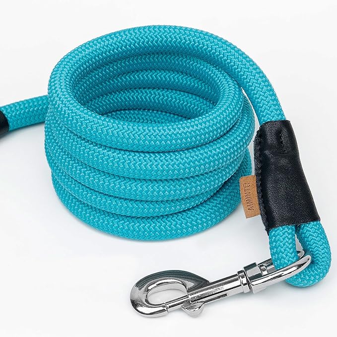 Dog Leash, Braided Rope Traction – Walking Training Lead for Medium/Large Dogs ((1/2") x 6FT, Light Blue)