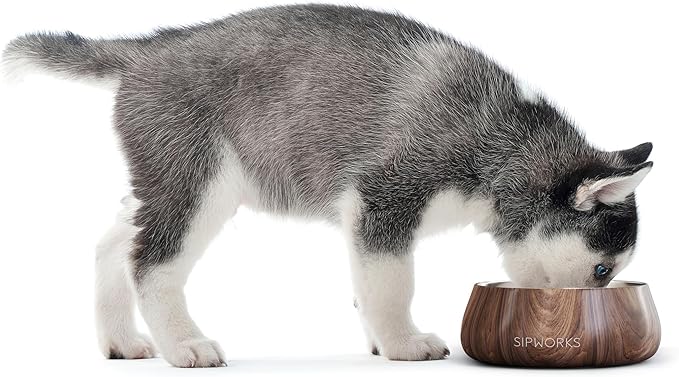 Sipworks Stainless Steel Dog Bowl – 32oz Weighted Metal Food and Water Bowls for Dogs and Cats with Non-Slip Base - Pet Bowls for All Breeds Sizes for Travel & Outdoor Play | Slate