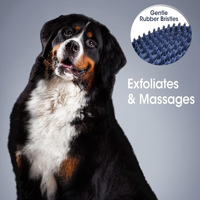 Four Paws Magic Coat Professional Series Grooming All-in-One Wet & Dry Detangling Brush for Dogs, 1 Count