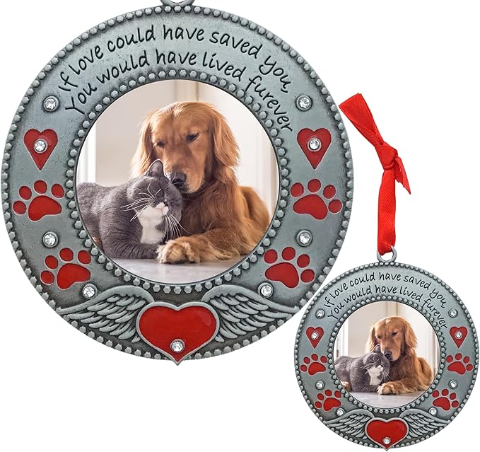 Pet Memorial Photo Ornament - Dog or Cat - Set of 3 - Enameled & Jeweled with Red Hearts, Angel Wings & Paw Prints - Gift/Storage Bag Included - 3" D and Holds a 2" D Photo