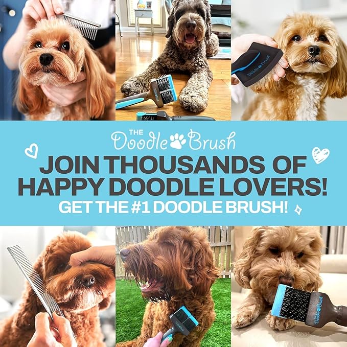 Slicker Brush for Dogs, Single Head Dog Hair Brushes, Flexible Head Slicker for Dogs, Poodle, Labradoodle, Sheepadoodle, Tangle-Free Grooming, Healthy & Shiny Coat Pet Brushes
