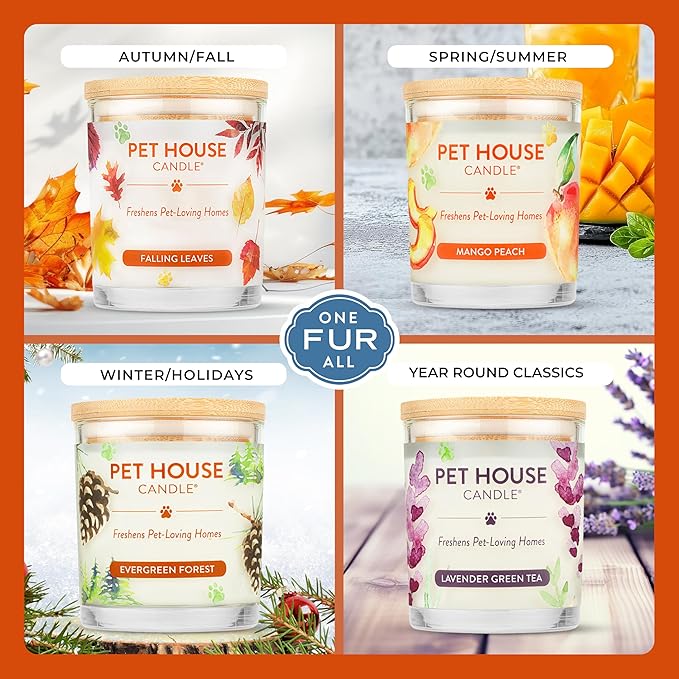 One Fur All Pet Odor Candles 2 Pack, Plant-Based Soy, Clean Burning Scented Candles for Pet Loving Homes - Pumpkin Spice, Apple Cider 2 Pack