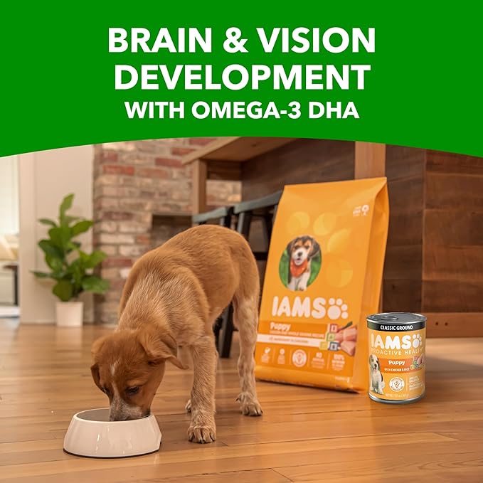IAMS Proactive Health Puppy Wet Dog Food Classic Ground with Chicken and Rice, 13 oz. Cans (12 Count, Pack of 2)