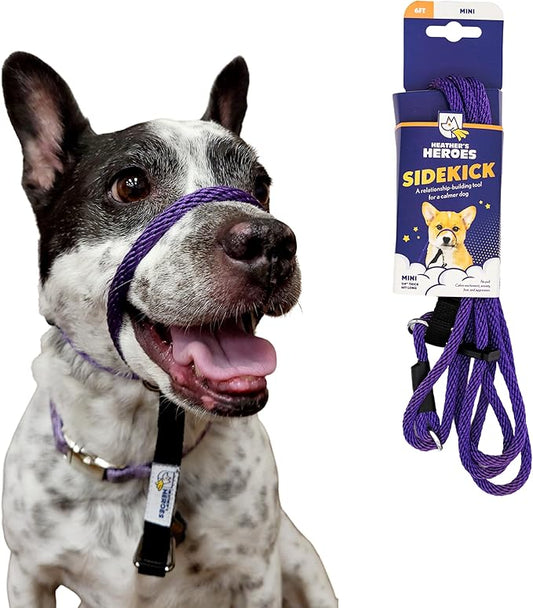 Heather's Heroes Sidekick Dog Headcollar with Leash - Effective Dog Training Tool for Leash Reactivity and Behavior Issues (Purple, Mini (1/4"))