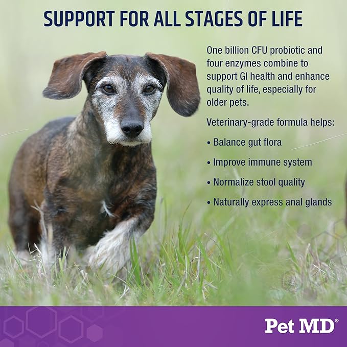 Pet MD Probiotics & Enzymes for Dogs - Gut Health Chews with Prebiotics - Digestive Aid for Dogs with Upset Stomach, Diarrhea, Constipation, or Gas - Functional Probiotics for Canines - 60 ct