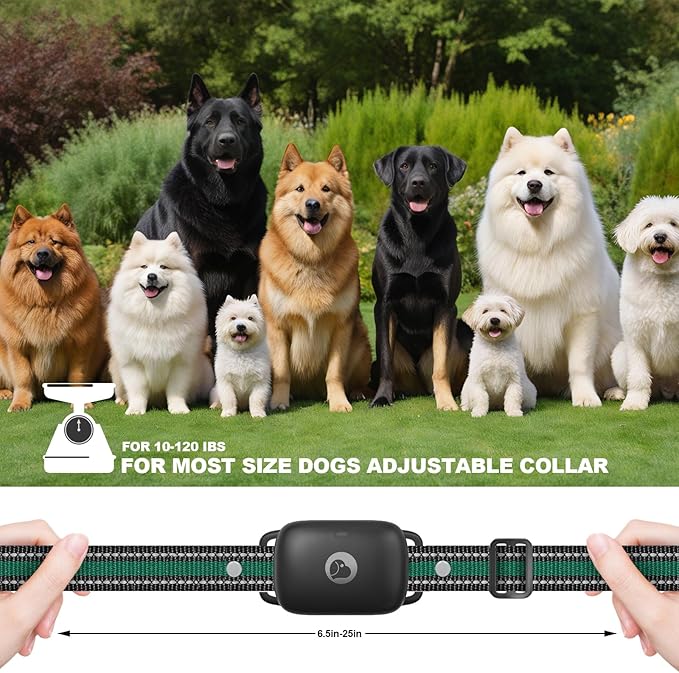 Dog Training Collar 2 Dogs Upgraded 2600FT Remote Rechargeable Waterproof Electric Shock Collar with Beep Vibration Shock for All Dogs (5-120lbs), Black