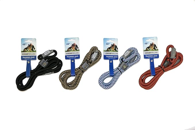 Cesar Millan Slip Lead Leash | Dog Leash | in Training Leash | (Regular, Aqua/Purple)