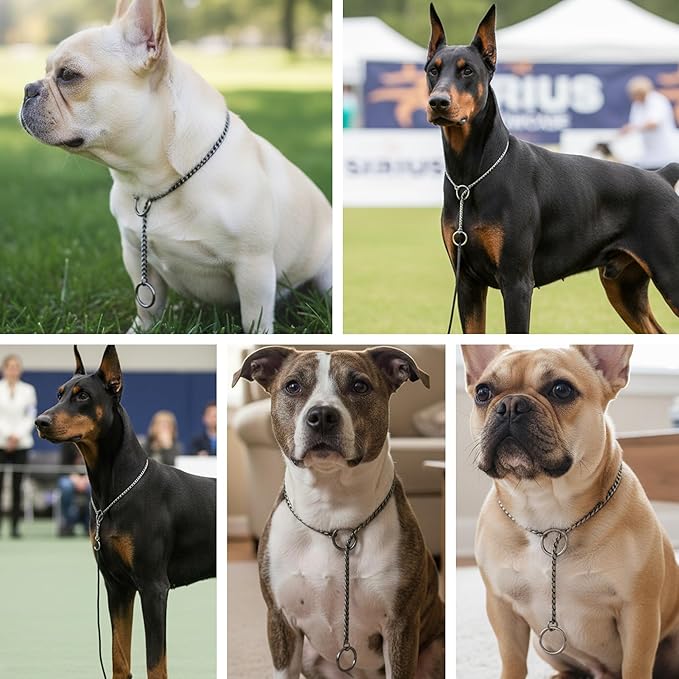 Dog P Snake Chain Chrome Plated Metal Dog Training Choke/Collar-Fully Guaranteed Against Rust Tarnish or Breakage-Recommended for Professional Training (Golden, 5mm * 28")